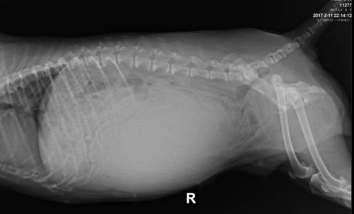 辽阳肿瘤医院地址(辽阳肿瘤医院地址电话) 辽阳肿瘤医院地址(辽阳肿瘤医院地址电话)