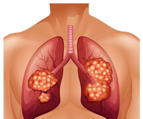 ��ҽ����������ʲôҩ��