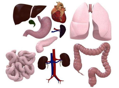 有可能是恶性骨肿瘤吗 有可能是恶性骨肿瘤吗