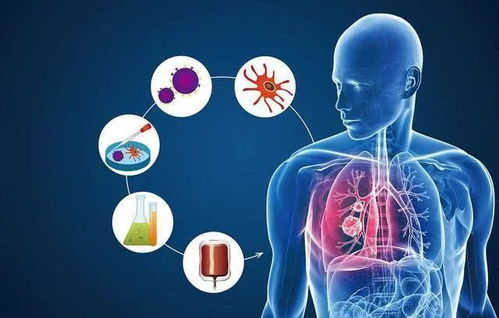 ��������������Ⱥ����