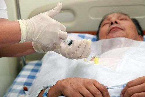 肿瘤患者能吃枣泥吗_肿瘤病人可以吃青枣吗 肿瘤患者能吃枣泥吗_肿瘤病人可以吃青枣吗