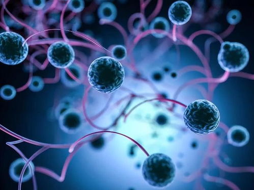 ҽ�ƴ�����ҽԺé��Ȩ