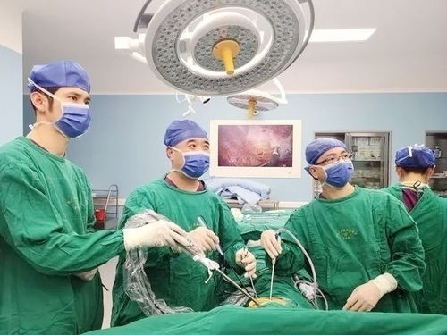 ��Щ����������첲��ʹ