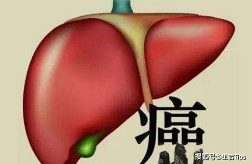 �������������������