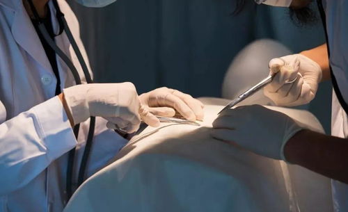 ����������ͷ�᳤����ô