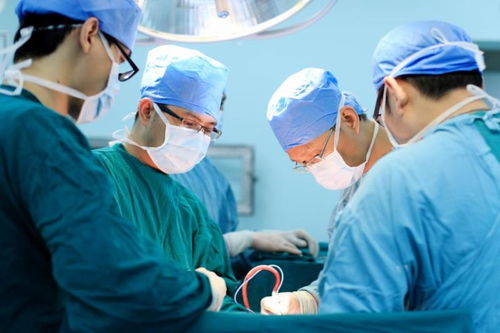 脑肿瘤能吃红薯粉吗 脑肿瘤可以吃水果吗 脑肿瘤能吃红薯粉吗 脑肿瘤可以吃水果吗