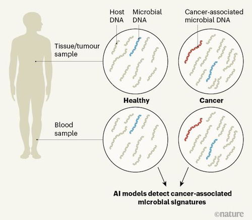 �����������Լ���ʧ��