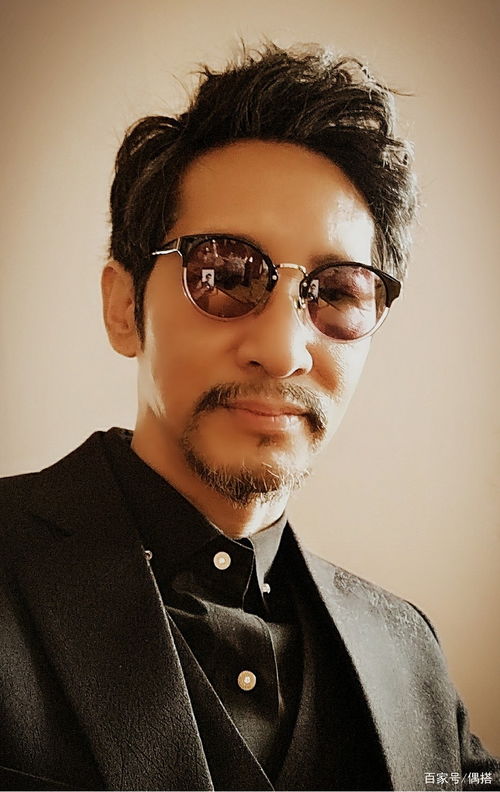 Ҷ�ɱ��� Ҷ���ع�ʲô