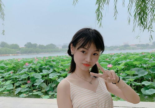 ����������Ӱ��������