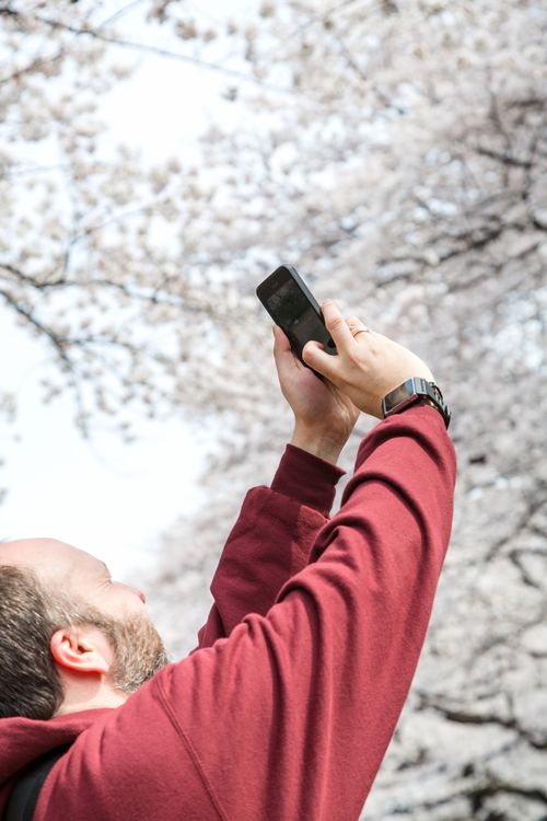不能说的秘密下架原因 不能说的秘密下架原因