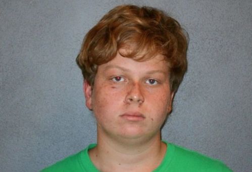 ������ϸ������������