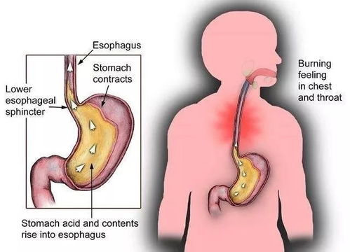 天津市肿瘤医院鸟瞰 天津市肿瘤医院分院 天津市肿瘤医院鸟瞰 天津市肿瘤医院分院