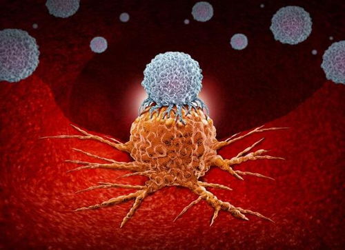 头部肿瘤很硬吗能活多久 头部肿瘤很硬吗能活多久