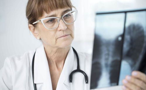 �����򶯻�Ƭ �����򶯻�Ƭ��������2