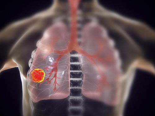 ��ѯ�������ҽԺ�������ҽԺ������ѯ����