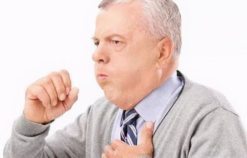 东四牌楼东 东四牌楼东电视剧 东四牌楼东 东四牌楼东电视剧