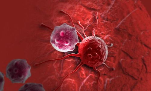 杜淳父子俩 杜淳父子俩参加的综艺 杜淳父子俩 杜淳父子俩参加的综艺