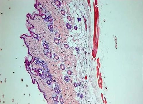 �ܲ���ÿ�����������