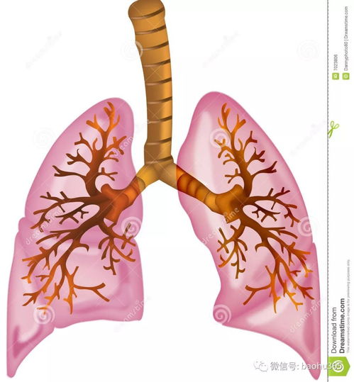 良性肿瘤对骨头的改变 良性肿瘤对骨头的改变