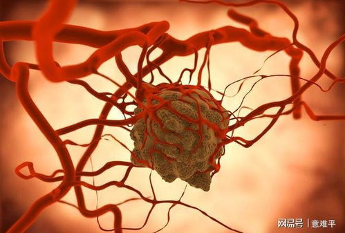 肿瘤复查hcg为0 肿瘤指标hcg 肿瘤复查hcg为0 肿瘤指标hcg