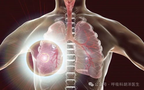 ƽɨct�ܷ�����������