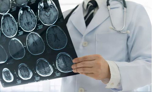 ������������Ժ�������