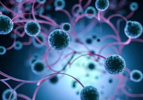 脑部肿瘤中医怎么调理好 脑部肿瘤中医怎么调理好