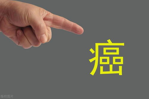 ����������(�������Ϲ�)