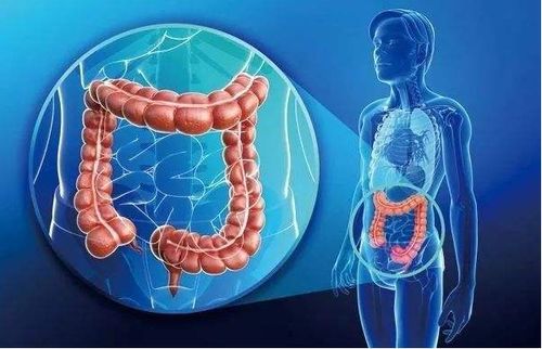 肝肿瘤晚期小肚子一直疼 肝肿瘤晚期小肚子一直疼