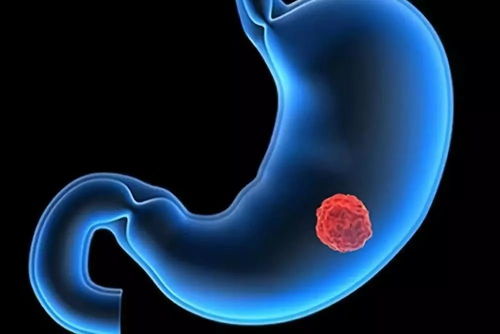 ʲô���������������