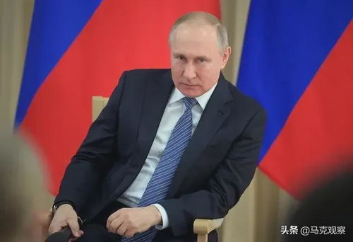 ��������֯ ����������