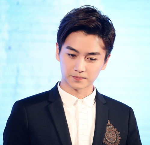 �¸���״Ӳ����������