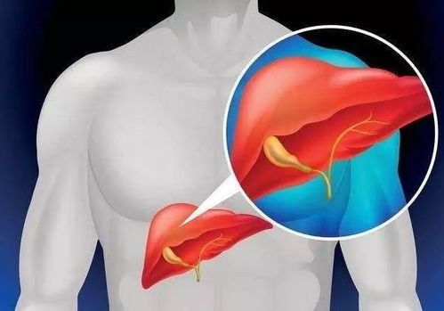 �Ϻ��ε�����ҽԺ������һ���ļ�