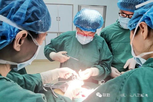 ������������������