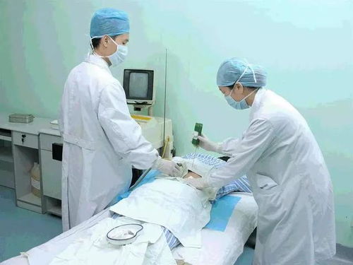 魏大勋老家是哪个村的 魏大勋老家是哪个村的