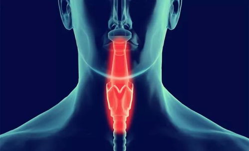 家里有肿瘤病人很累 肿瘤病人觉得累 家里有肿瘤病人很累 肿瘤病人觉得累