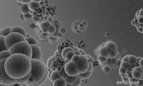 增强核磁检查肝肿瘤准吗 增强核磁检查肝肿瘤准吗