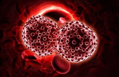 窦骁晒与何超莲婚纱照 窦骁晒与何超莲婚纱照