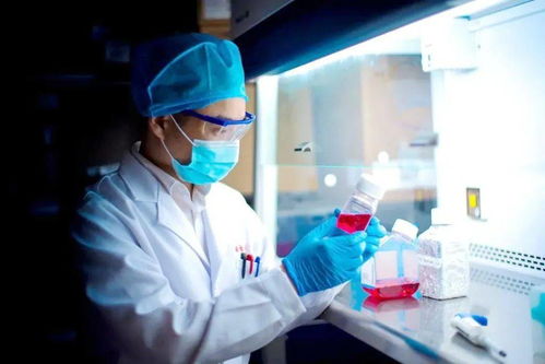 ���������ƺ�ƶѪ��ô��