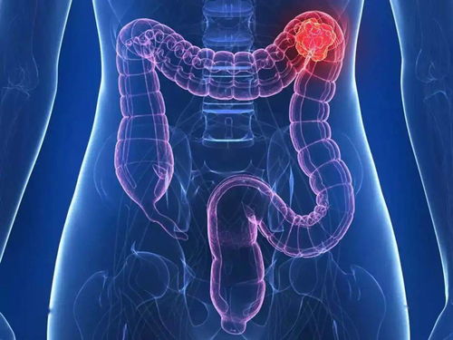 ��������ר�ҽ���̸����