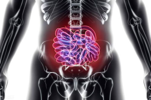 ��������ҽԺԮ������