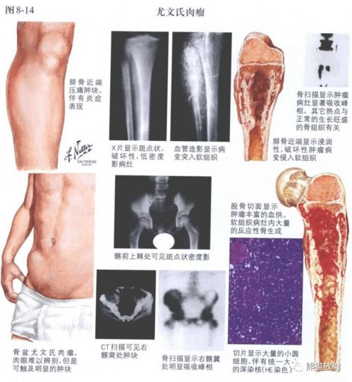 �����������ĸ�ҽԺ���