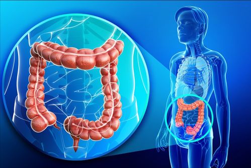 振国中医肿瘤医院官网 振国中医肿瘤医院官网
