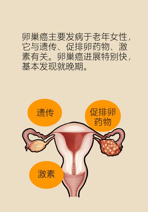 龙岗中心医院肿瘤宣传周 龙岗中心医院肿瘤宣传周