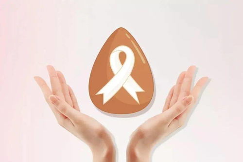 �������ҽԺ����ѵ����