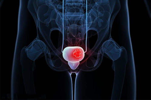 世园会门票 世园会门票免费政策 世园会门票 世园会门票免费政策