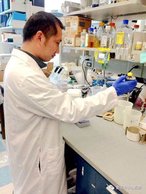 ���������ܳԲ�Ʒ�� ���������ܳԲ�Ʒ����Ӱ����