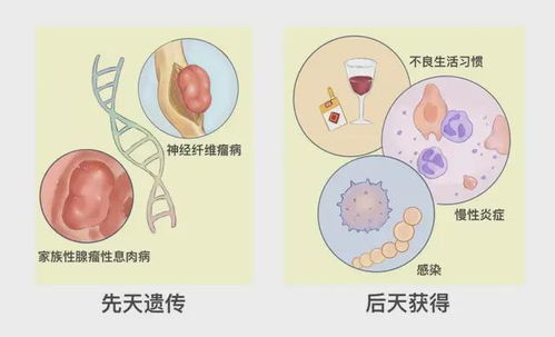 恶性肿瘤能不能喝酒吃肉 恶性肿瘤能不能喝酒吃肉