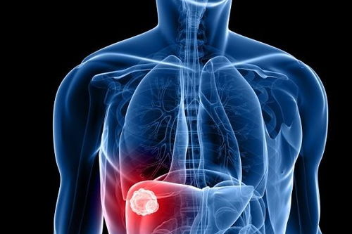 ��������ά�ֻ�׼������15%����