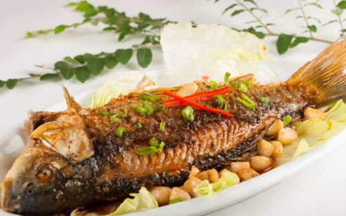 �Ϻ�����ҽԺ��������